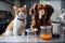 feline and canine scientists in laboratory, performing experiment with test tubes and beakers