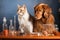 feline and canine scientists in laboratory, performing experiment with test tubes and beakers