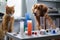 feline and canine scientists in laboratory, performing experiment with test tubes and beakers