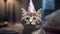 Feline celebration, kitty with birthday hat