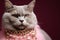 Feline fashion A cool cat flaunts jewelry on a pink canvas