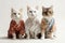 Feline Fashionistas Strike a Pose: Three Cats in Human Clothes Doing Karate on White Background.