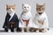 Feline Fashionistas Strike a Pose: Three Cats in Human Clothes Doing Karate on White Background.
