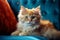 Feline Frenzy: A Cozy Cat on a Blue Wallpapered Couch