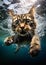 Feline Frenzy: A Tiny Kitten\\\'s Thrilling Dive into the Deep Blue