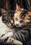 Feline Love: A Heartwarming Connection Between Two Adorable Cats