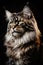 The Feline Majesty: An Intricately Detailed and Beautifully Lit Portrait of a Maine Coon Cat Generative AI