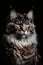 The Feline Majesty: An Intricately Detailed and Beautifully Lit Portrait of a Maine Coon Cat Generative AI