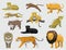 Feline Tiger Set Various Kind Identify Cartoon Vector-01