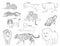 Feline Tiger Set Various Kind Identify Cartoon Vector Black and White