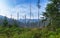 Felled and broken trees in Tatra mountains