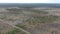 Felled forest aerial view. Destroyed pine plantations.