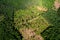 Felled forest, aerial view. Destruction of forests and felling of trees. Forests illegal disappearing. Environmetal and ecological