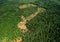 Felled forest, aerial view. Destruction of forests and felling of trees. Forests illegal disappearing. Environmetal and ecological