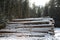 Felled tree trunks covered with snow