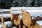 Felled tree trunks covered with snow