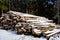 Felled tree trunks covered with snow