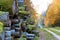 Felled trees and autumn forest, deforestation, trunks of felled trees