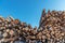 Felled trees in the form of logs lying in a pile. Lumber