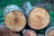 Felled wooden trunks of pine trees lie on the ground in the forest. The inner part of the tree trunk with annual rings close-up