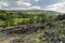 A felled woodland in Northumberland, UK with view to hamlet of Eals