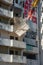 Felling of the green sail of Scampia, Naples - Italy