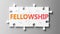 Fellowship complex like a puzzle - pictured as word Fellowship on a puzzle pieces to show that Fellowship can be difficult and