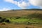 Fellside pasture on Whernside, North Yorkshire