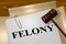 Felony - legal concept