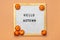 Felt boar with text Hello autumn, pumpkin on orange color background Top view Flat lay Seasonal concept Hello September, October,