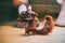 Felt squirrel holding a pine cone