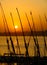 Felucca boats at the harbor at sunset, Luxor