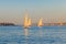 Felucca boats sailing on the Nile river in Luxor, Egypt. Traditional Egyptian sailing boats