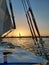 felucca (sailboat) on the river Nile at sunset