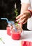 Female adding mint branch to watermelon smoothie