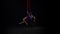 Female aerial gymnast performing on a red silk in a black background. Exciting acrobatic show. Slow motion. 141