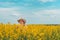 Female agronomist checking up on development of rapeseed crops in field, woman working on plantation