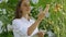 Female agronomist conducts an inspection of tomato cultivation in a greenhouse and enters the indicators in a tablet. A