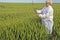 Female agronomist controls wheat