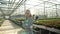 Female agronomist engineer smiling in a greenhouse