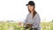 female agronomist with tablet check the growth of a field with buckwheat flowers. woman touching hand plant shoots and