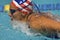 Female Athlete Swims A Breaststroke