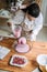Female baker make Perfect custom pink heart shape cake in kitchen Bakery. Online Cake Store. custom cake order for Every
