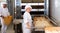 Female bakery worker pulls bread pan out of oven