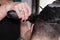 Female barber working with hair clipper, shaving young man\'s head