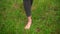 Female bare legs on the grass. Walking barefoot on the grass, the concept of freedom and happiness.