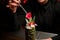 Female bartender serving alcoholic cocktail in the Tiki mug adding a rose bud with tweezers
