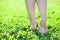 Female beautiful legs stepping on grass
