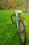 Female bike on the grass in the forest. Picnic in nature. Cycling in the forest or park