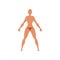 Female biological sexual system, anatomy of human body vector Illustration on a white background